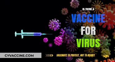 Exploring the Quest for a Universal Virus Vaccine
