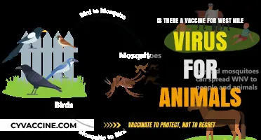West Nile Virus: Animal Vaccine Availability and Protection Options