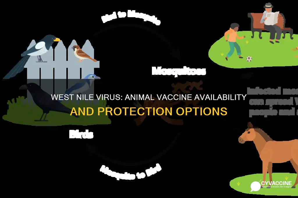 is there a vaccine for west nile virus for animals