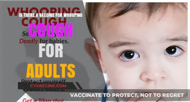 Adult Whooping Cough Vaccine: Availability, Benefits, and Protection
