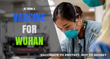 Exploring the Latest on Wuhan: Vaccine Developments and Facts