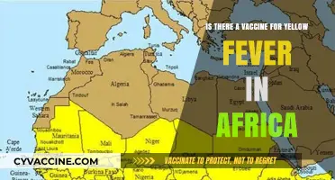 Yellow Fever Vaccine Availability and Accessibility Across Africa: What You Need to Know