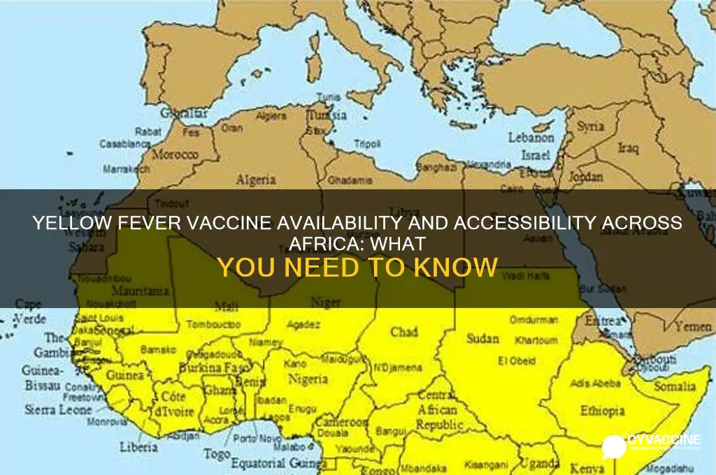 is there a vaccine for yellow fever in africa