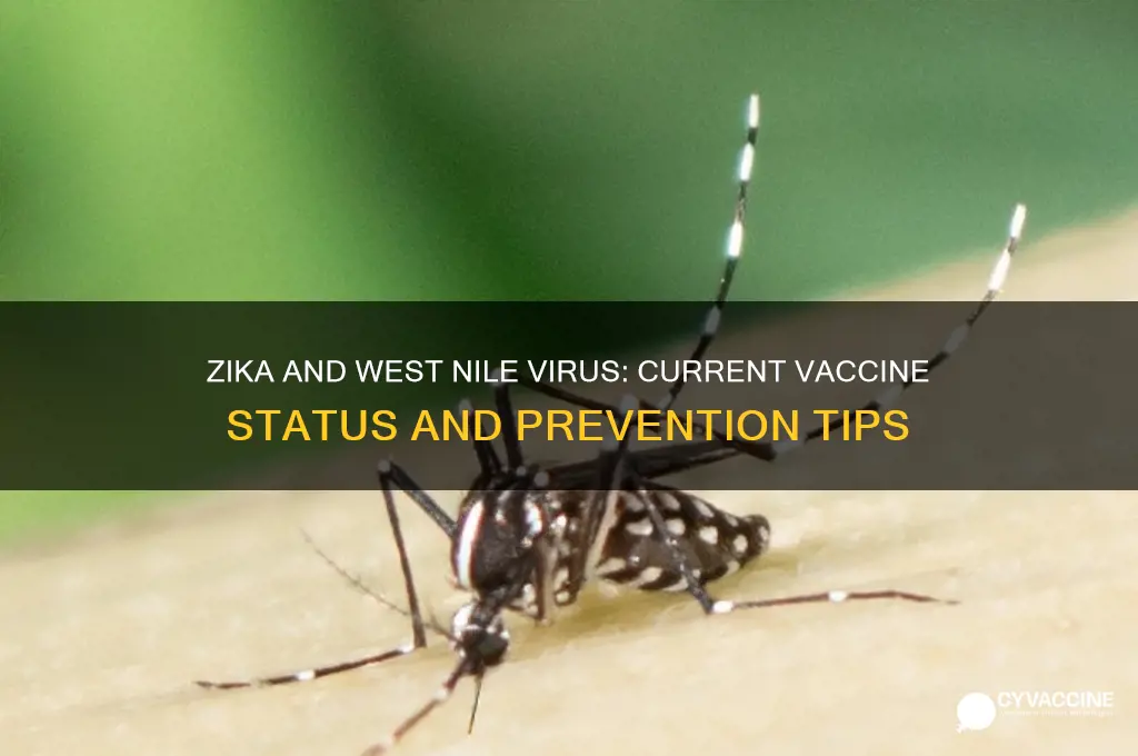 is there a vaccine for zika or west nile virus