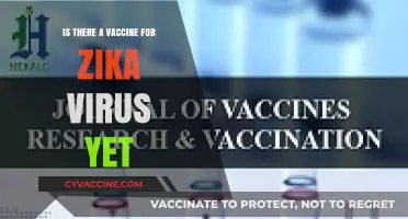 Zika Virus Vaccine: Current Status and Future Prospects