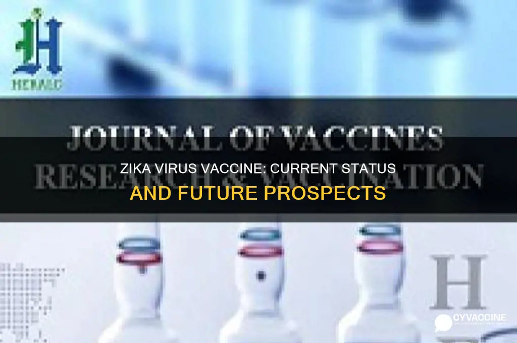 is there a vaccine for zika virus yet