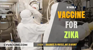 Is There a Vaccine for Zika? Current Research and Developments