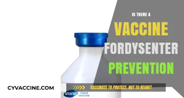Exploring Dysentery Prevention: The Vaccine Option