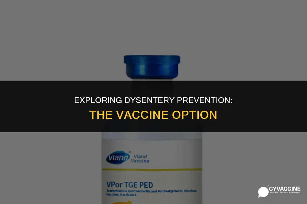 is there a vaccine fordysentery prevention