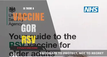 Exploring RSV Vaccine Options: What You Need to Know