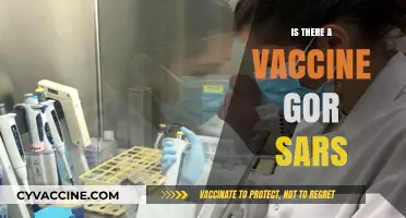 Exploring the Latest on SARS Vaccines: Facts and Updates