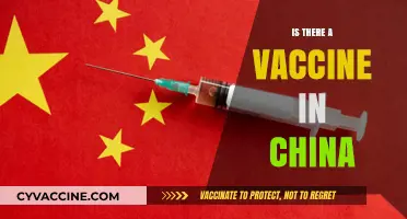 Exploring China's Vaccine Landscape: Myths, Facts, and Future Prospects