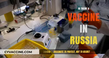 Exploring Russia's Vaccine Landscape: Facts and Myths Unveiled