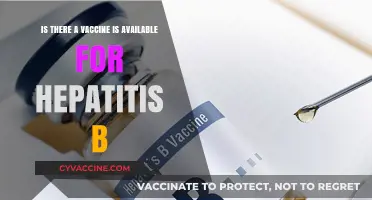 Hepatitis B Vaccine: Availability, Effectiveness, and Prevention Explained