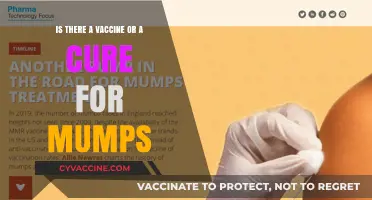 Mumps Vaccine and Treatment: What You Need to Know