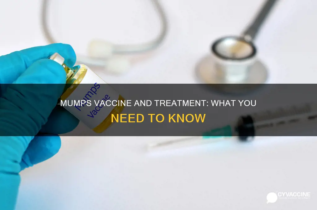 is there a vaccine or a cure for mumps