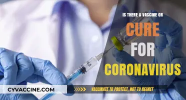 Coronavirus Vaccine and Cure: Current Status and Future Prospects