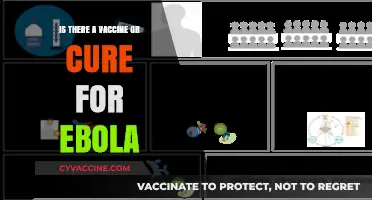 Ebola Vaccine and Cure: Current Status and Future Prospects