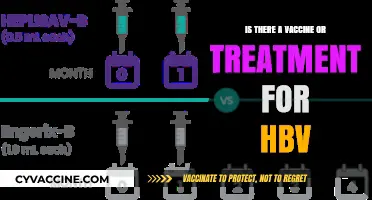 Exploring HBV: Current Treatments and Vaccine Developments Explained