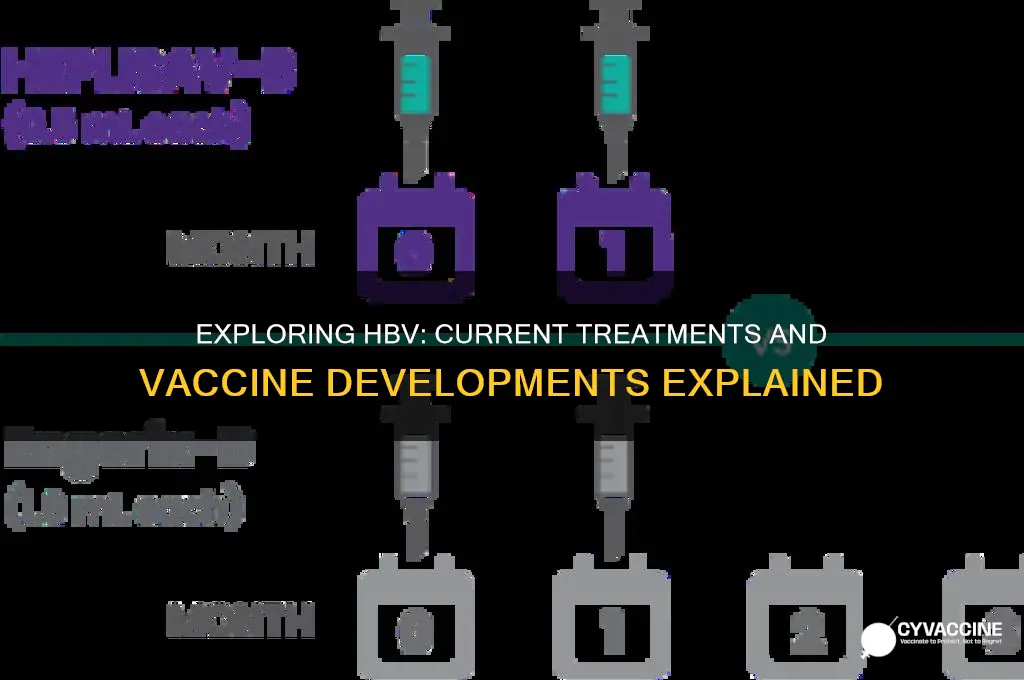 is there a vaccine or treatment for hbv