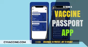 Exploring the Concept of Vaccine Passport Apps: A Comprehensive Guide