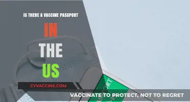 US Vaccine Passport: Current Status, Implementation, and Public Debate