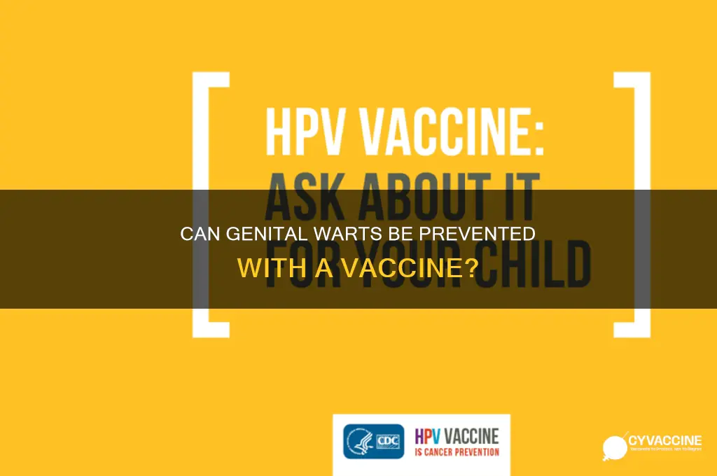 is there a vaccine prevetnable for gental warts