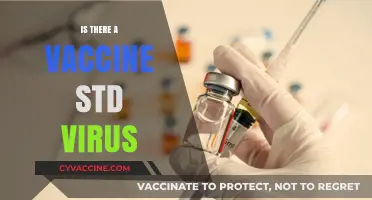 Exploring the Possibility of a Vaccine for STD Viruses