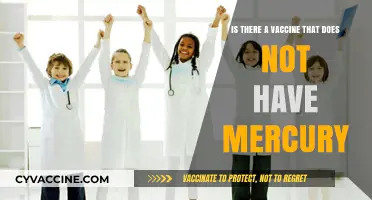 Mercury-Free Vaccines: Are There Safer Alternatives Available Today?