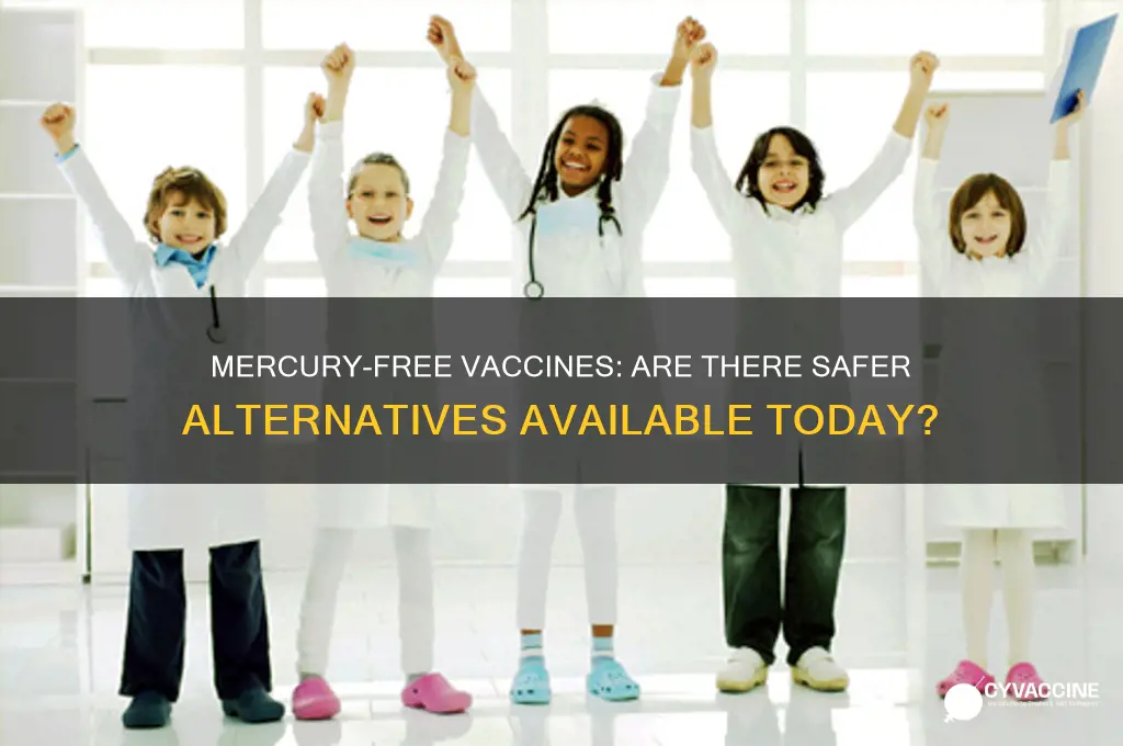 is there a vaccine that does not have mercury
