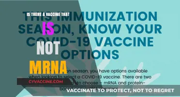 Beyond mRNA: Exploring Non-mRNA Vaccine Alternatives and Their Benefits