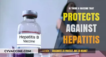 Hepatitis Vaccines: Protection, Prevention, and Available Options Explained