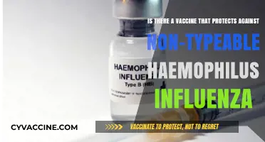 Non-Typeable Haemophilus Influenzae: Vaccine Protection Explored