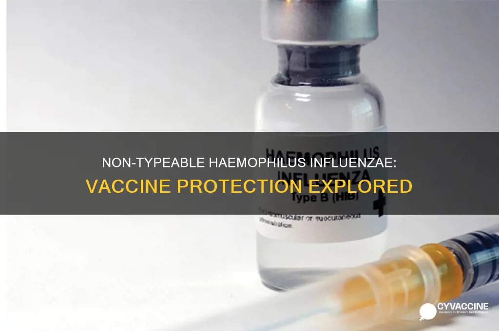 is there a vaccine that protects against non-typeable haemophilus influenza