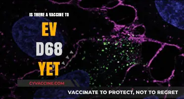 Is There a Vaccine for EV-D68 Yet? Latest Updates