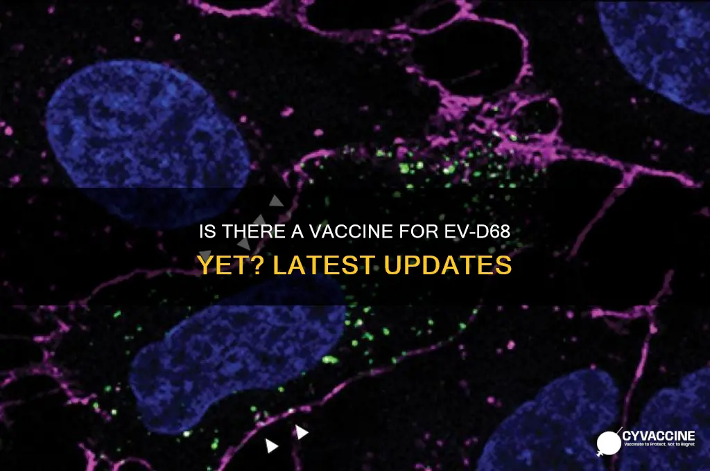 is there a vaccine to ev d68 yet