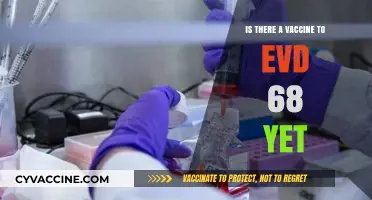 EV-D68 Vaccine Update: Current Status and Future Prospects