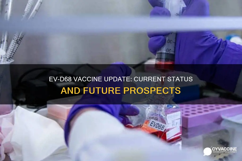 is there a vaccine to evd 68 yet