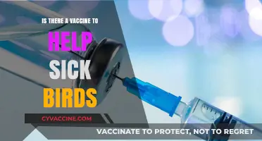 Can Vaccines Save Sick Birds? Exploring Avian Health Solutions