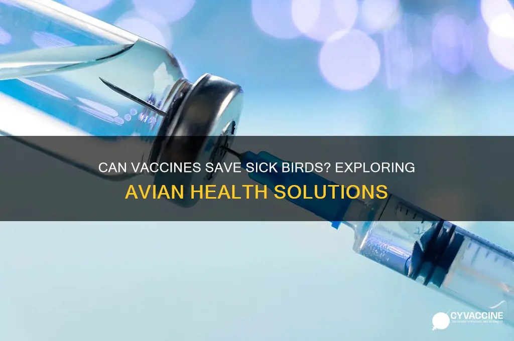 is there a vaccine to help sick birds