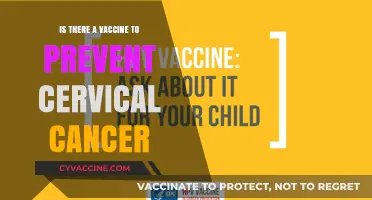 Cervical Cancer Prevention: The Role of HPV Vaccines Explained