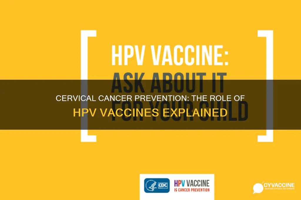 is there a vaccine to prevent cervical cancer