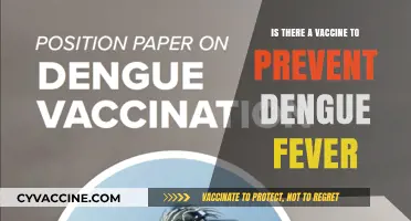 Can a Vaccine Protect Against Dengue Fever? What You Need to Know