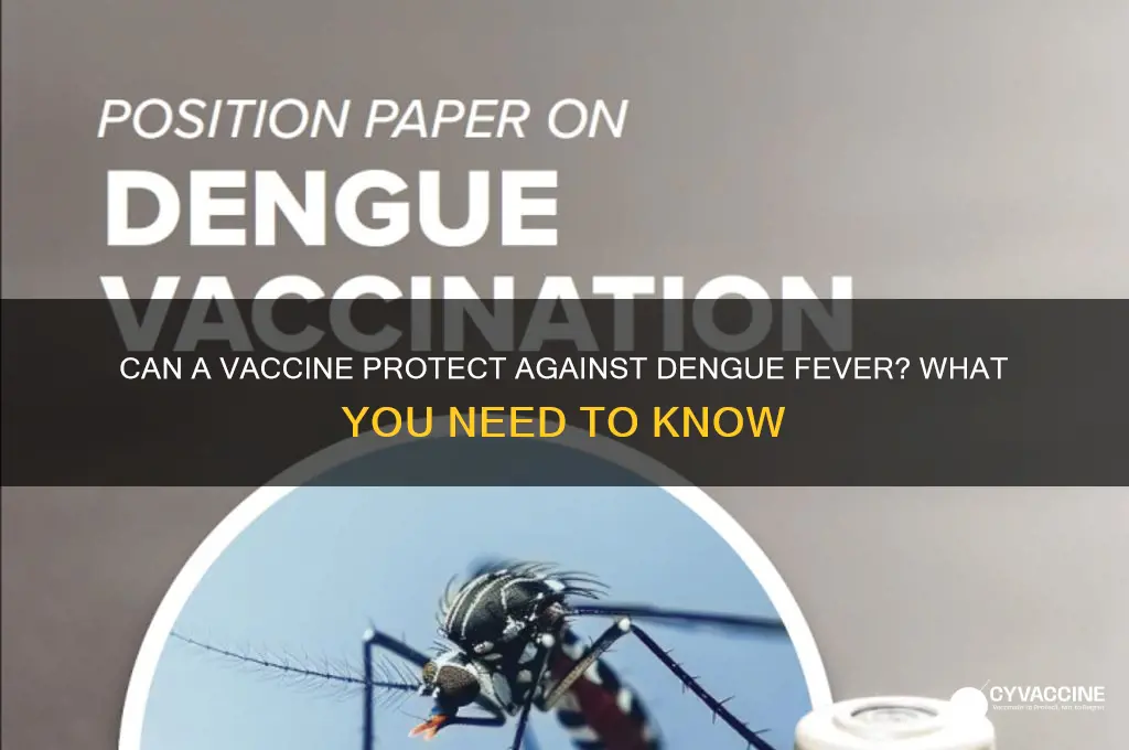 is there a vaccine to prevent dengue fever