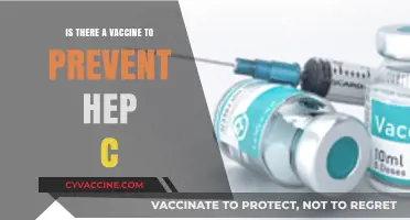 Hepatitis C Vaccine: Current Status and Prevention Strategies Explained