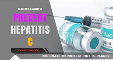 Hepatitis C Vaccine: Current Status and Prevention Strategies Explained