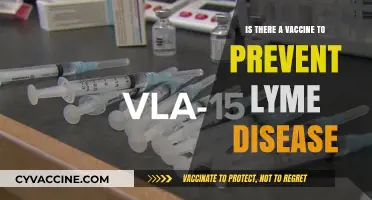 Can a Vaccine Protect Against Lyme Disease? What You Need to Know