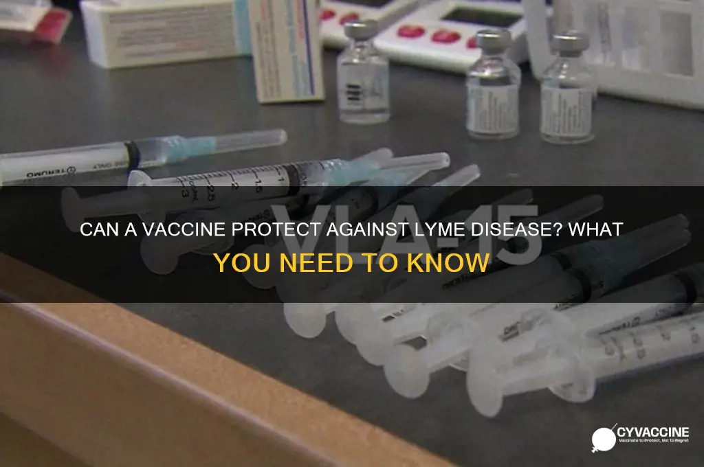 is there a vaccine to prevent lyme disease