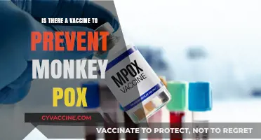Monkeypox Vaccine: Current Availability and Prevention Strategies Explained