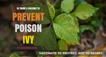Can a Vaccine Protect Against Poison Ivy's Itchy Rash?